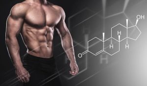https://anabolica.net/2026/09/23/testosterone-hgh-core-bodybuilding-hormones/